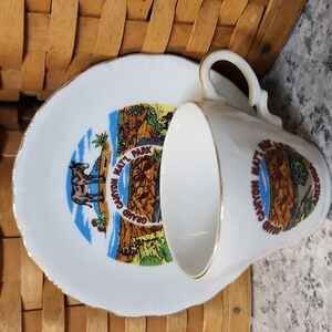 Vintage Grand Canyon National Park Souvenir Cup & Saucer